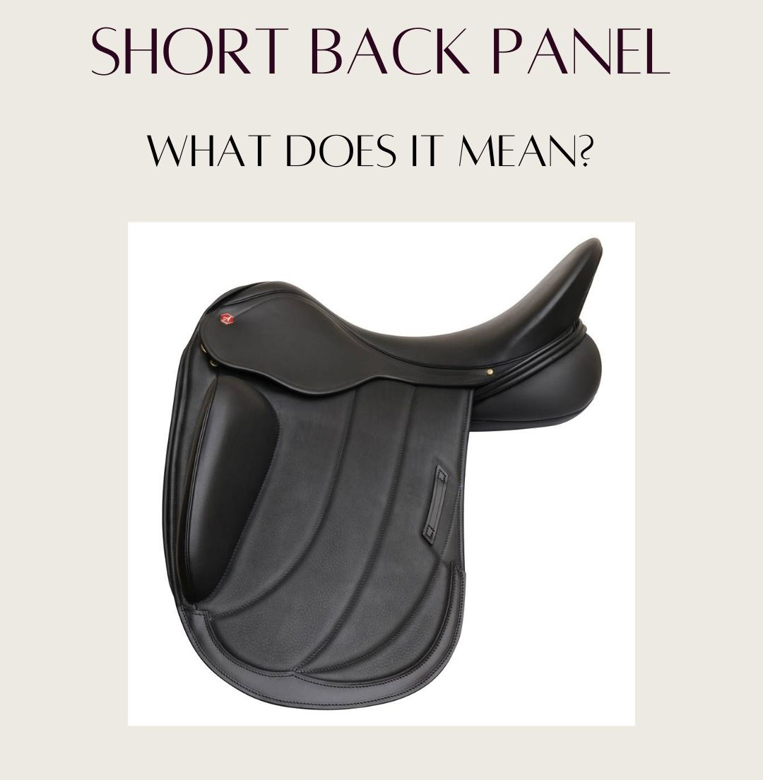 albion-s-short-back-panel-what-does-it-mean